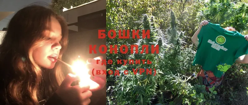 Конопля Ganja  закладки  Уржум 